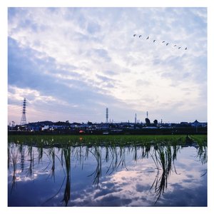 👙🈲㊙️免费网站软件
